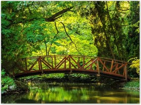 Poszterek 135x100 Fa híd