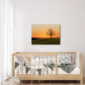 Naplemente a réten képe (70x50 cm)