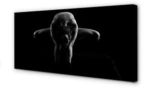 Canvas képek Nő fekete-fehér 100x50 cm