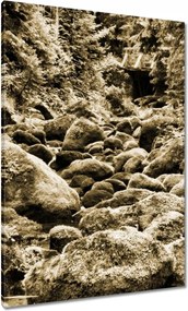 Vászonkép 70x100 Tátra Lengyel hegyek Kilátás