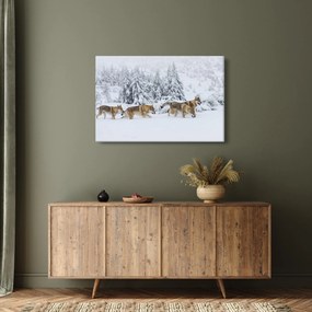 Kép - Farkasok a hegyekben (90x60 cm)