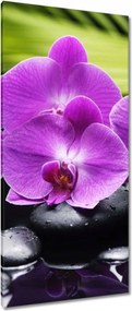 Vászonkép 55x115 Orchidea Valentin napra