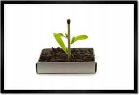 Poszterek keretben 60x40 Zöld erő