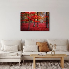 Kép - vörös erdő (90x60 cm)