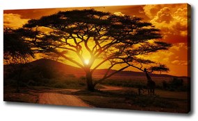 Feszített vászonkép Nyugat-afrika oc-12172283