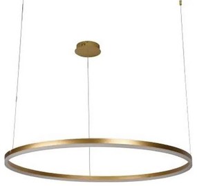 LED dimmelhető csillár zsinóron LED/55W/230V 3000-6500K + távirányítás