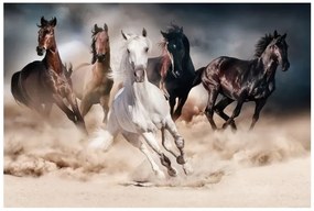 Kép HORSES 120x80 cm