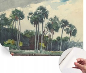 Öntapadós tapéta Fali furnér 3D hatás Egzotikus pálmafák 104x70 cm