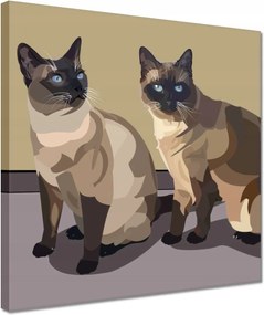 Vászonkép 30x30 Cica Cicák Macskák