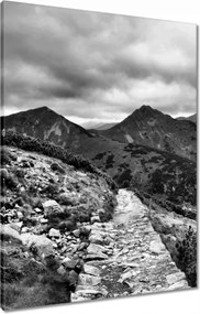 Vászonkép 60x80 Tátra Lengyel hegyek Kilátás