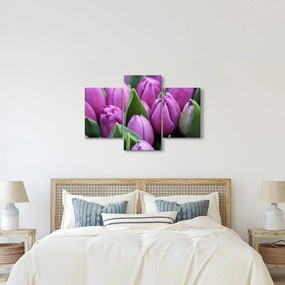 Kép - tulipánok (90x60 cm)