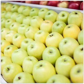 Poszterek 100x100 Piros alma