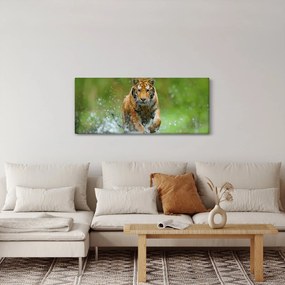 Kép - Futó tigris (120x50 cm)