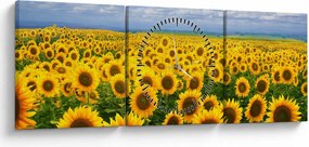 A napraforgó mező képe (órával) (90x30 cm)
