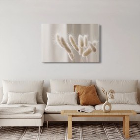Kép - Nyúl farok (90x60 cm)