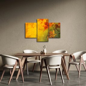 Kép - Őszi levelek (90x60 cm)