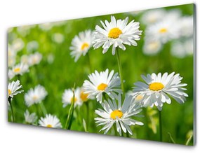 Akrilüveg fotó Daisy Flower Plant 100x50 cm 4 fogas