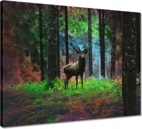Vászonkép 50x40 Szarvas a mesés erdőben
