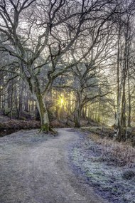 Poszter 61x91,5cm Vidéki csatorna fákkal és ösvényrel, Assaf Frank