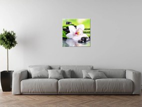 Gario Vászonkép Fehér orchidea és kövek Méret: 100 x 70 cm