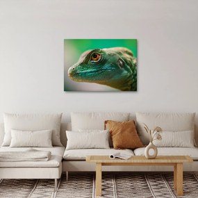 Részletes kép a gyíkról (70x50 cm)