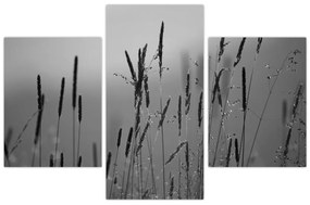 Kép - Fűszálak (90x60 cm)