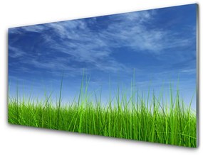 Fali üvegkép Sky Grass Nature Plant 100x50 cm 2 fogas