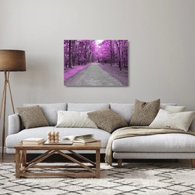Kép - Út a parkon (üvegen) (70x50 cm)