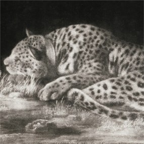 Fotótapéta Flizelin Dekoratív Hálószoba Leopárd Pihenő 250x250