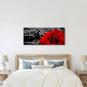 Kép - Rózsa virágok (120x50 cm)