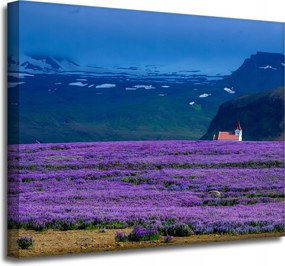 Vászonkép Természet Levendula mező Virágok 50x40