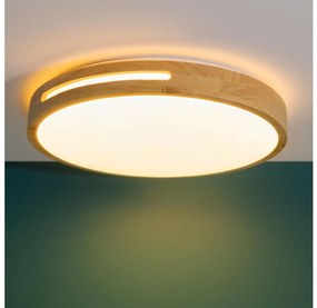 Brilliant - LED Dimmelhető mennyezeti lámpa WOODBURY LED/24W/230V átm. 39 cm