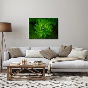 Tűlevelű képé (üvegen) (70x50 cm)