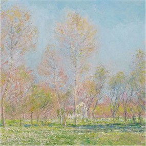 Fotótapéta Flizelin Dekoratív Iroda Tavaszi park 250x250 Ragasztó