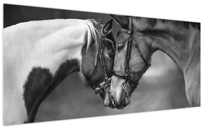 Kép - Szerelmes lovak, fekete-fehér (120x50 cm)