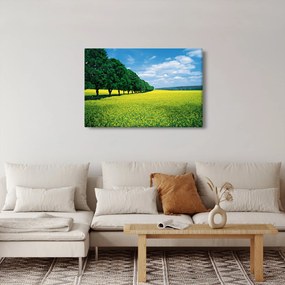 A mező képe egy sikátorral (90x60 cm)