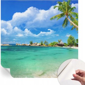 Modern öntapadós fali fotótapéta Trópusi paradicsom 250x250 cm