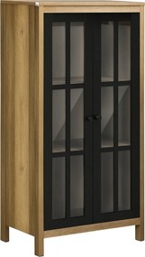 HOMCOM Modern Üveg 2-Ajtós Komód, Nappali és Lounge Szekrény, 60x35x120cm, Barna | Aosom