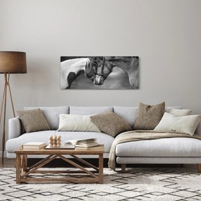 Kép - Szerelmes lovak, fekete-fehér (120x50 cm)