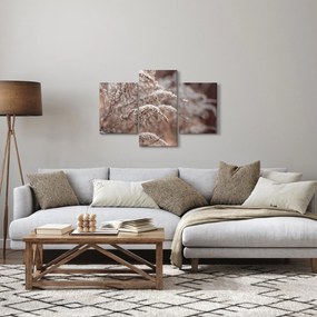 A növények képe (90x60 cm)