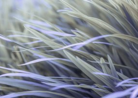 Poszter 84x59,5cm FƱ, Assaf Frank