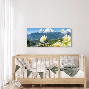 Kép - tavasz az Alpokban (120x50 cm)