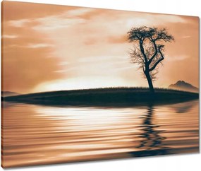 Vászonkép 80x60 Fa a szigeten