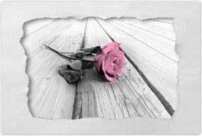 Poszterek 90x60 Rózsa világos deszkákon