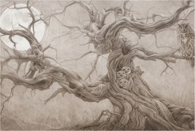 Flizelina fotótapéta Nappaliba és Hálószobába Éjszakai madarak 104x70 Ragasztó