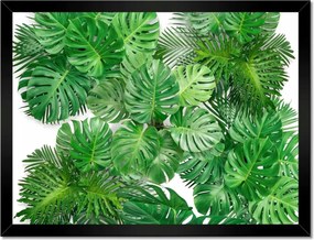 Poszter keretben 40x30 Monstera lyukas levelek