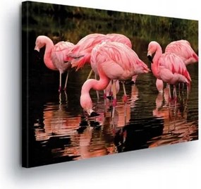 Vászonkép 100x75 Flamingók rózsaszín tükröződés a vízben nyugalom természet madarak tó