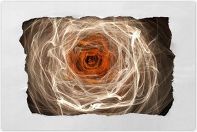 Poszterek 60x40 Fraktál rózsa