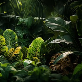 Poszter 60x60cm A természet eldugott zuga