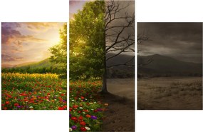 Kép - Életciklus (90x60 cm)